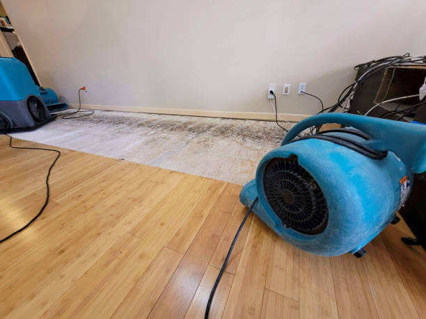 Professional Structural Drying technician working in Cherryfield, ME